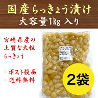 らっきょう 2kg(1kg×2袋) 国産 無添加 甘酢漬 送料無料 九州産 宮崎 漬物 大容量 業務用 らっきょ らっ…