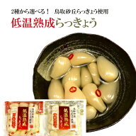 鳥取 らっきょう 無添加 低温熟成 選べる4袋(ピリ辛/甘酢) らっきょ 鳥取砂丘 鳥取産 鳥取県産 国産 送料…