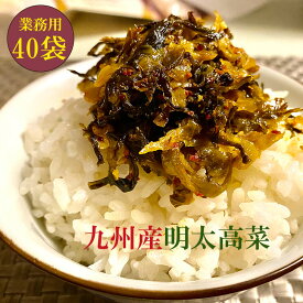 辛子明太高菜 九州産高菜使用 からし明太高菜(205g×40入) 漬物 めんたい高菜 福岡 博多 国産 まとめ買い用 大容量 業務用 送料無料