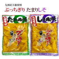 沢庵 選べる4点 ぶっちぎり 200g×4袋 (たまり/しそ) たくあん たくわん 九州産大根使用 漬物 中津漬物 …