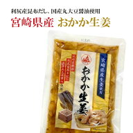 おかか生姜 宮崎県産 国産 120g×2袋～ 生姜 ガリ ご飯のお供 ポイント消化 送料無料