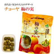 チョーヤ 梅の実 小粒 200g×12点 梅酒梅 紀州産南高梅 JAわかやま 無添加 まとめ買い用 送料無料