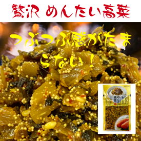 【マラソン限定 P10倍】贅沢明太高菜 100g×2袋 辛子高菜 からし高菜 めんたい高菜 漬物 福岡 博多 国産 九州産 ポイント消化 送料無料 1000円ポッキリ