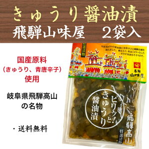 sbƁIイݖ  R ˍR Y  110g×2 yY 