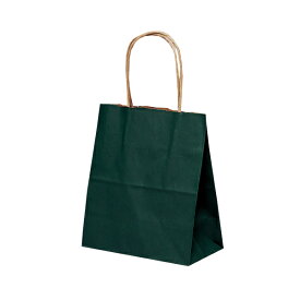紙袋 手提げ ミニサイズ/【紙手提げ袋 T-1 カラー（緑）】使いやすい25枚入り 業務用 小さめ 180×100×210 プレゼント・ラッピングに！