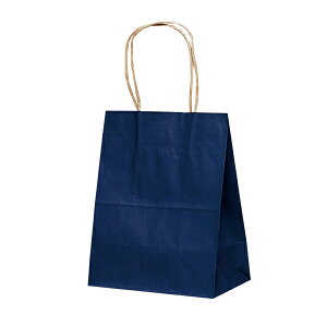   ~jTCY/ y񂰑 T-2 J[ijlCr[zg₷25 Ɩp  200×120×250 v[gEbsOɁI