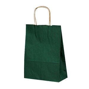   / y񂰑 T-3 J[i΁jzp25 Ɩp 220×100×300 VvȖnŕLprɁI