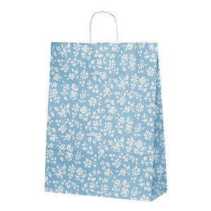  񂰑 y񂰑 T-12Jiu[jz Ɩp@50