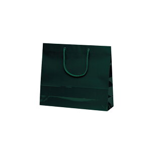 񂰑܁y t@CobO@_[NO[z@10