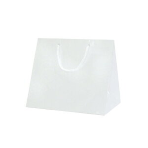  񂰑 }`L220mmy񂰑 t@CobO 220 Chz10@̈oAԂȂǂɂI