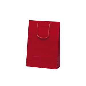 񂰑܁y iCXobO Cz 10