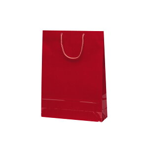 񂰑܁y GNZobO@ Cz@ 10