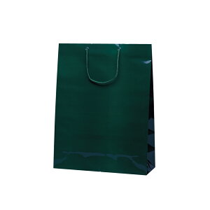 紙手提げ袋 【エクセルバッグ ダークグリーン】 10枚入