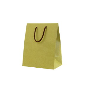 紙袋 手提げ袋 【紙手提げ袋 T-2 カラークラフト 抹茶】10枚入り