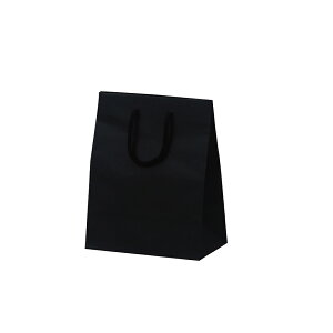 紙袋 手提げ袋 【紙手提げ袋 T-WS2 カラークラフト ネイビー】10枚入り