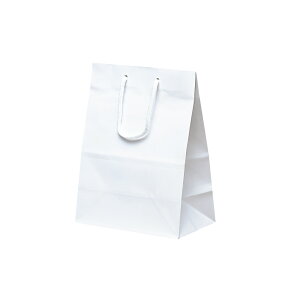 紙袋 手提げ袋 【紙手提げ袋 ミニバッグ ホワイト】10枚入