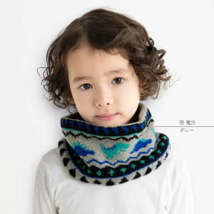 { lbNEH[}[ }V}jbg ̎q j̎q LbY qǂ ʉ ʊw 킢  RX F jR[ lR  j IW{{ UW[UbvX A[YA[~