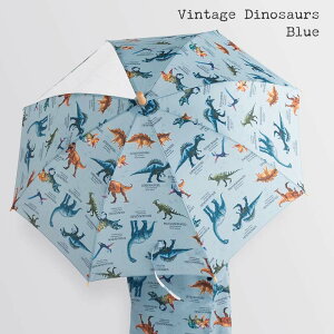 P LbY qp 45cm 50cm 55cm qǂ ̎q j̎q  j  JT J P JP ۈ牀 ct w ʉ ʊw CObY v OXt@Co[  J ɂ 