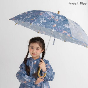 P LbY qp 45cm 50cm 55cm qǂ ̎q j̎q  j  JT J P JP ۈ牀 ct w  w CObY v OXt@Co[   {^