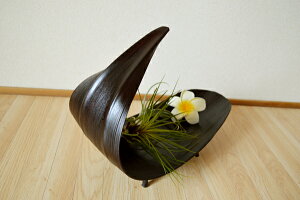 r[œT Ebhg[ EbhgC ANZT[P[X u AWAG o 􃄃V[tgC(_[NuEJ[) ][g gCo zeCN C