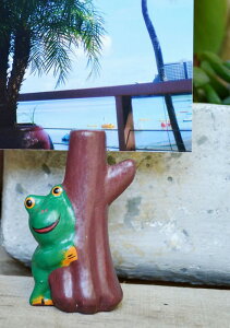 ★レビューで特典★置物 置き物 オブジェ オーナメント 飾り アニマル アジアン家具 バリ ♪アニマルカードホルダー(カエル)♪ おしゃれ リゾート トライバル ホテルライク アジアンインテ