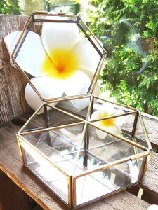 r[œT ANZT[P[X }`P[X [P[X AWAG o wLTSKXP[X  CeA  ][g gCo zeC