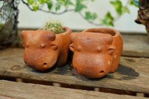 r[œT u v^[ t[x[X  fBXvC IuWF AWA o G õEV|bg  ][g gCo zeCN 