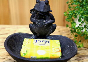 r[œTΌgC Όg[ oXpi gCpi gC^[ AWA o G JG̃\[vfBbV  ][g gCo zeCN CeAG