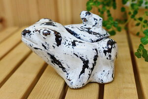 r[œT َq ANZT[P[X LfB[|bg Aj} AWA o G 􃍃{NĂJGeq̏  ][g gCo ze