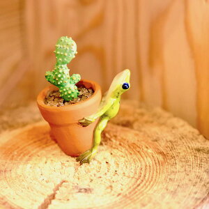 r[œTu u IuWF I[ig  CeA AWA o G T{eƃJGA  ][g gCo zeCN AWACe