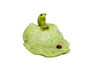 r[œTu u IuWF I[ig  CeA AWA o G 􃍁[^XtJGƂĂƂ  ][g gCo zeCN AWA