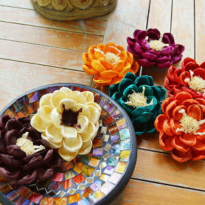 r[œTAWA o G 􃍁[^XԁiR[[t 7Fj CeA  fR[V  u IuWF o ][g gCo zeCN