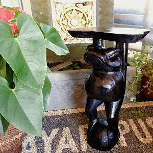 r[œTu CeA 傫 ϗtA I I AWAG o (uEJG̉ԑ50cm)  킢 t[X^h IuWF ؐ JGObY ][g g