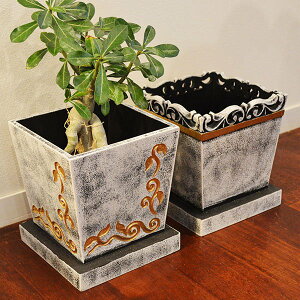 r[œTAWA o G o̔Jo[zCgSi3`5pj CeA  GXjbN ϗtA  v^[ t[x[X