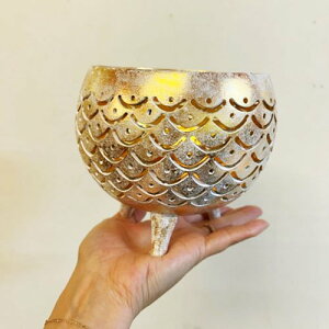 r[œTyyzԐڏƖ X^hCg  AWA RRic̎XJv{EiER LEDLht 2Fj CeA  GXjbN t[