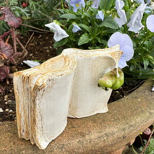 r[œTAWA o G ubNԂ牺JG CeA  i` ][g gCo zeCN u IuWF AeB[N