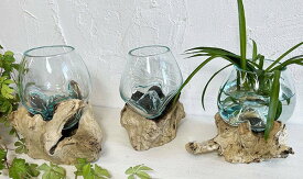 ★レビューで特典★アジアン バリ 雑貨 ♪天然流木のガラスポット（深型）♪ インテリア おしゃれ 置き物 ウォーターベース 金魚鉢 ナチュラル カフェ リゾート トライバル ホテルライク