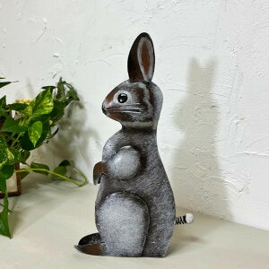 r[œTu IuWF Aj} ACA ACArbgIuWF  gC K[fjO AeB[N CeA  AWA o i` JtF 