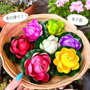 r[œTJt[^Xԁi7J[j u IuWF    ANAE CeA  i` JtF ][g gCo zeCN