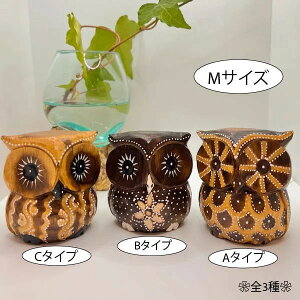 r[œTo̒tNEiMTCYj u IuWF ؐ N CeA  i` JtF ][g zeCN gCo