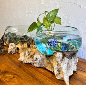 r[œTy2026N1{ח\zyVR؂̃KX|bgi ^j ԕr Ԋ EH[^[x[X u IuWF CeA  i` JtF ][g z