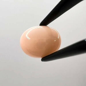 VXTS 12mm×10mm W77880551 VR [X  WF  p[Xg[ ANZT[p[c CeA  i` JtF ][g zeCN gCo