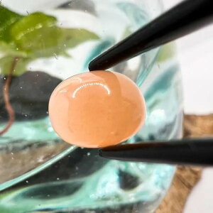 IW[Xg[ 10mm×8mm B8988032729 VR [X  WF  a 6 p[Xg[ ANZT[p[c CeA  i` JtF ][g zeCN 