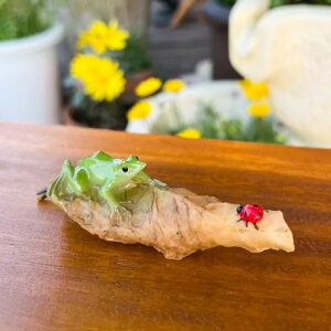 r[œT؂̗t̏łɂ߂JGƂĂƂ u IuWF  rO gC Q CeA  i` JtF ][g zeCN gCo