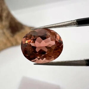 r[œTsNg} I[o10mm×8mm W77880253 VR [X  WF  a 10 p[Xg[ ANZT[p[c