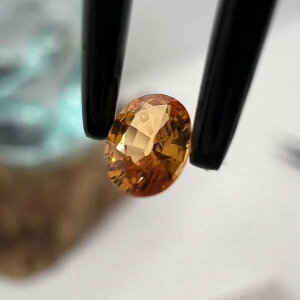 r[œTIWTt@CA P8488010427 VR [X  WF  a 9 p[Xg[ ANZT[p[c CeA  i` JtF ][g ze