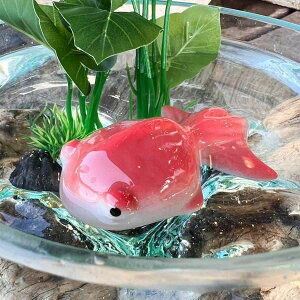 睡蓮鉢 ガラス」の人気商品一覧 | 安い商品を通販サイトから探す 