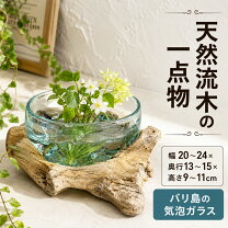 楽天市場】流木 インテリア（花瓶｜インテリア小物・置物 