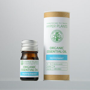 _Jn4Ԃ!10%OFF+P10{m^nCp[vc I[KjbNGbZVIC yp[~g 5mly[J[FICXgAz