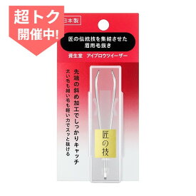＼超トクも残り2日!最大3000円OFF+全品Pアップ／【資生堂認定ショップ】資生堂 アイブロウツイーザー